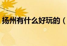 扬州有什么好玩的（扬州好玩的地方有哪些）