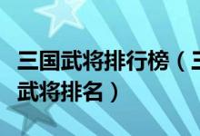 三国武将排行榜（三国十大名将排名三国最牛武将排名）