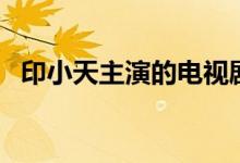 印小天主演的电视剧（这几部都是他主演）