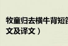 牧童归去横牛背短笛无腔信口的意思（村晚原文及译文）