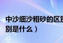 中沙细沙粗砂的区别是什么（中沙细沙粗砂区别是什么）