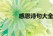 感恩诗句大全（关于感恩诗句）