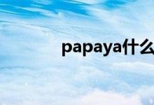 papaya什么意思（papaya）