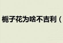 栀子花为啥不吉利（五大摆放禁忌需注意！）