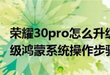 荣耀30pro怎么升级鸿蒙系统（荣耀30pro升级鸿蒙系统操作步骤）