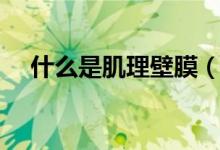 什么是肌理壁膜（肌理壁膜优点和缺点）