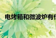 电烤箱和微波炉有什么区别（要怎么选择）