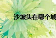 沙坡头在哪个城市（沙坡头在哪里）