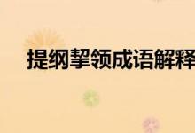 提纲挈领成语解释（提纲挈领成语意思）