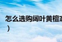 怎么选购阔叶黄檀家具（四个要点挑选好家具）
