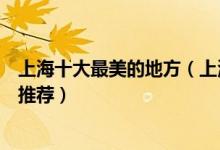 上海十大最美的地方（上海十大最美旅游景点上海最美景点推荐）