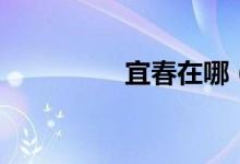 宜春在哪（宜春在哪里）
