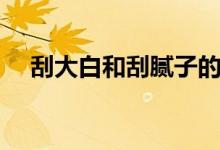 刮大白和刮腻子的区别是什么（哪个好）