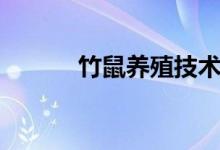 竹鼠养殖技术介绍（进来看看）
