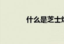 什么是芝士炉（要怎么使用）