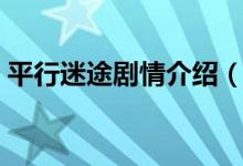 平行迷途剧情介绍（平行迷途剧情是怎样的）