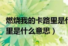 燃烧我的卡路里是什么意思啊（燃烧我的卡路里是什么意思）
