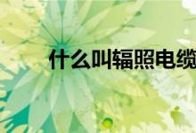 什么叫辐照电缆（不知道的看过来）