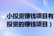 小投资赚钱项目有哪些,千万别错过（适合小投资的赚钱项目）