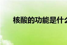 核酸的功能是什么（核酸的功能介绍）