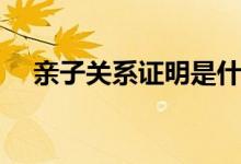 亲子关系证明是什么（亲子关系是什么）