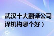 武汉十大翻译公司（武汉翻译公司排名武汉翻译机构哪个好）