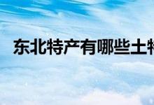 东北特产有哪些土特产（东北有哪些特产）