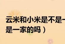 云米和小米是不是一家（云米和小米什么关系是一家的吗）