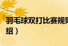 羽毛球双打比赛规则（羽毛球双打比赛规则介绍）