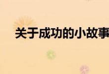 关于成功的小故事（成功的故事有哪些）