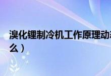 溴化锂制冷机工作原理动态图（溴化锂制冷机工作原理是什么）