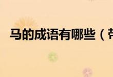 马的成语有哪些（带有马字的成语有什么）