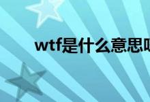 wtf是什么意思呀（wtf是什么意思）