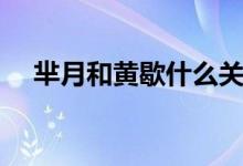 芈月和黄歇什么关系（芈月和黄歇简介）
