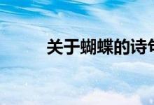 关于蝴蝶的诗句（蝴蝶的古诗词）