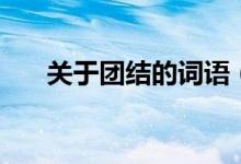 关于团结的词语（团结的词语有什么）