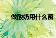 做酸奶用什么菌（做酸奶用什么菌种）