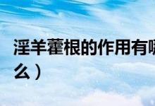 淫羊藿根的作用有哪些（淫羊藿根的功效是什么）