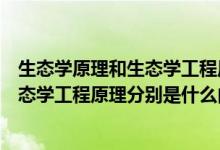 生态学原理和生态学工程原理分别是什么（生态学原理和生态学工程原理分别是什么内容）