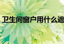 卫生间窗户用什么遮挡（推荐这几种好方法）
