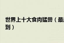 世界上十大食肉猛兽（最厉害的食肉猛兽排行榜有些你想不到）