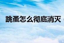 跳蚤怎么彻底消灭（跳蚤彻底消灭的方法）