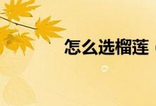 怎么选榴莲（榴莲如何挑选）
