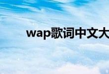 wap歌词中文大意（wap歌词释义）