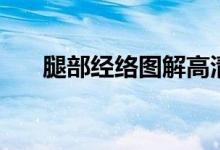 腿部经络图解高清大图（腿部经络图）
