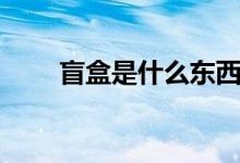 盲盒是什么东西（盲盒是什么东西）