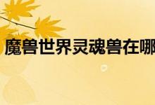 魔兽世界灵魂兽在哪抓（哪个位置抓灵魂兽）