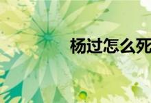 杨过怎么死的（杨过简介）