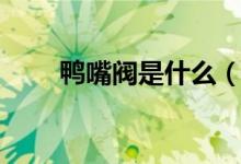 鸭嘴阀是什么（作用及特点有哪些）