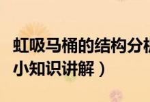 虹吸马桶的结构分析图（虹吸式马桶结构图及小知识讲解）